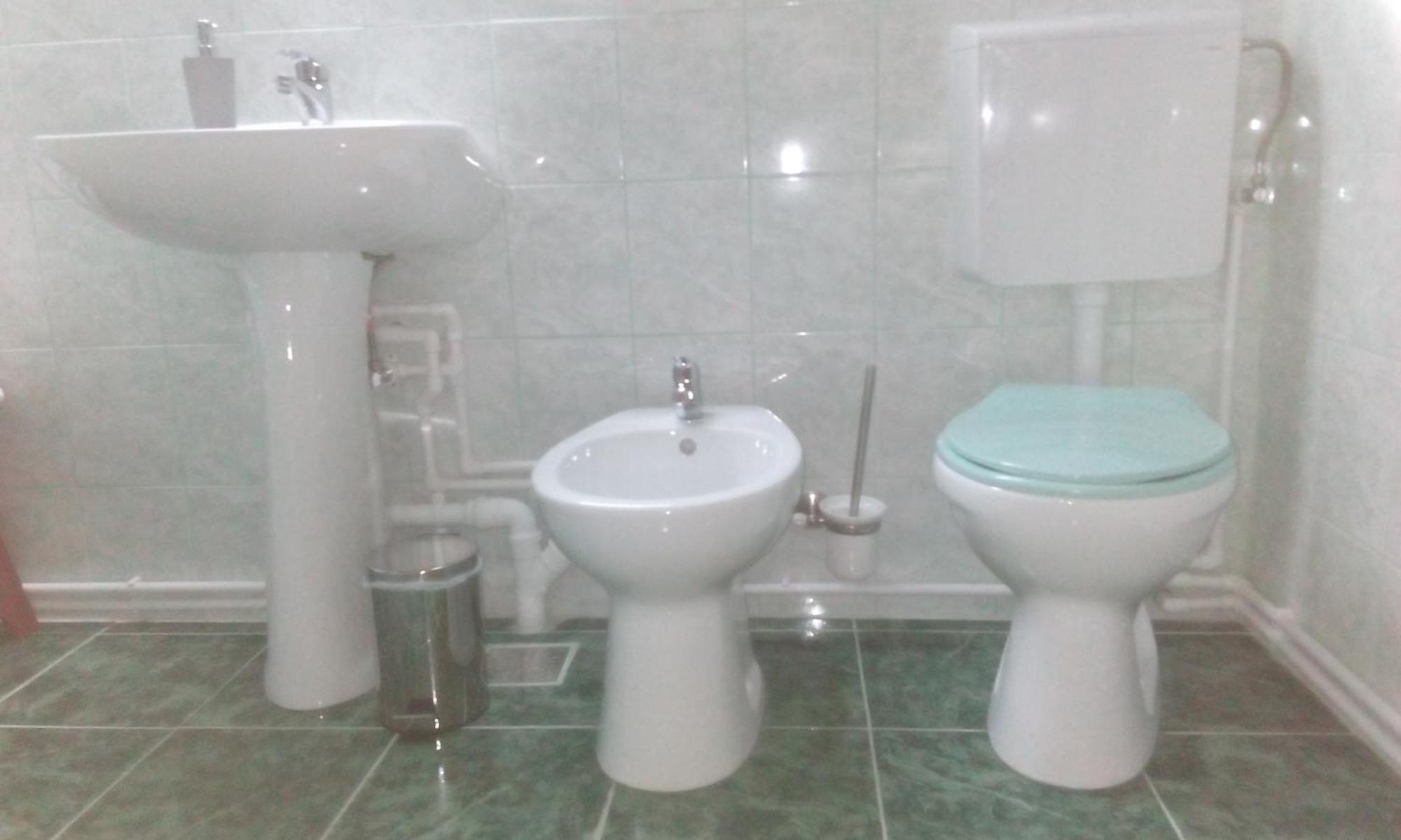 Casa Pescar Apartment Клуж-Напока Екстериор снимка
